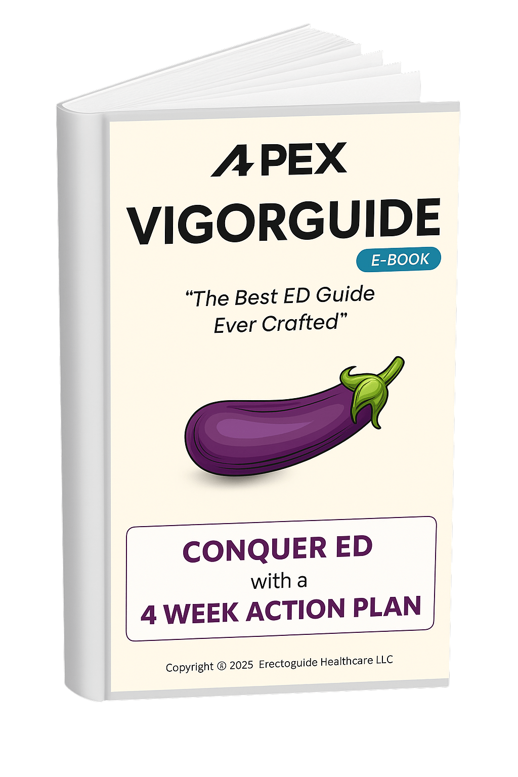 VIGORGUIDE ebook cover